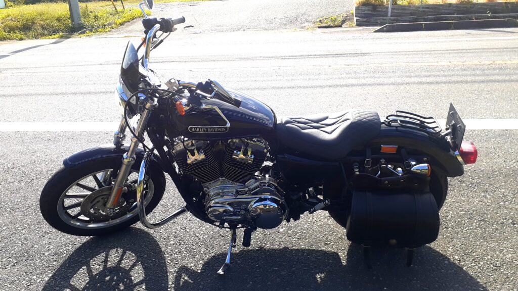 道路脇に停めたハーレーXL1200Lスポーツスターの全体側面と存在感